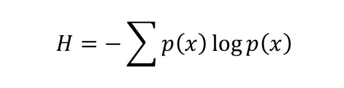 Risultati immagini per shannon information equation