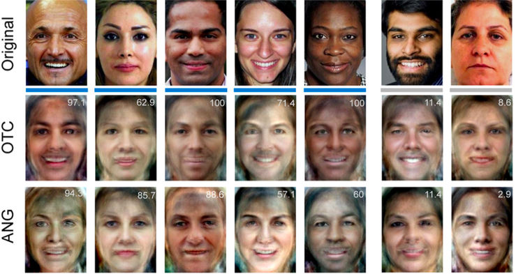 Faces seen by experimental subjects as reconstructed by fMRI data using MVPA. 