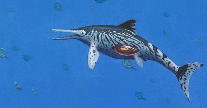 836 Ichthyosaurus 2