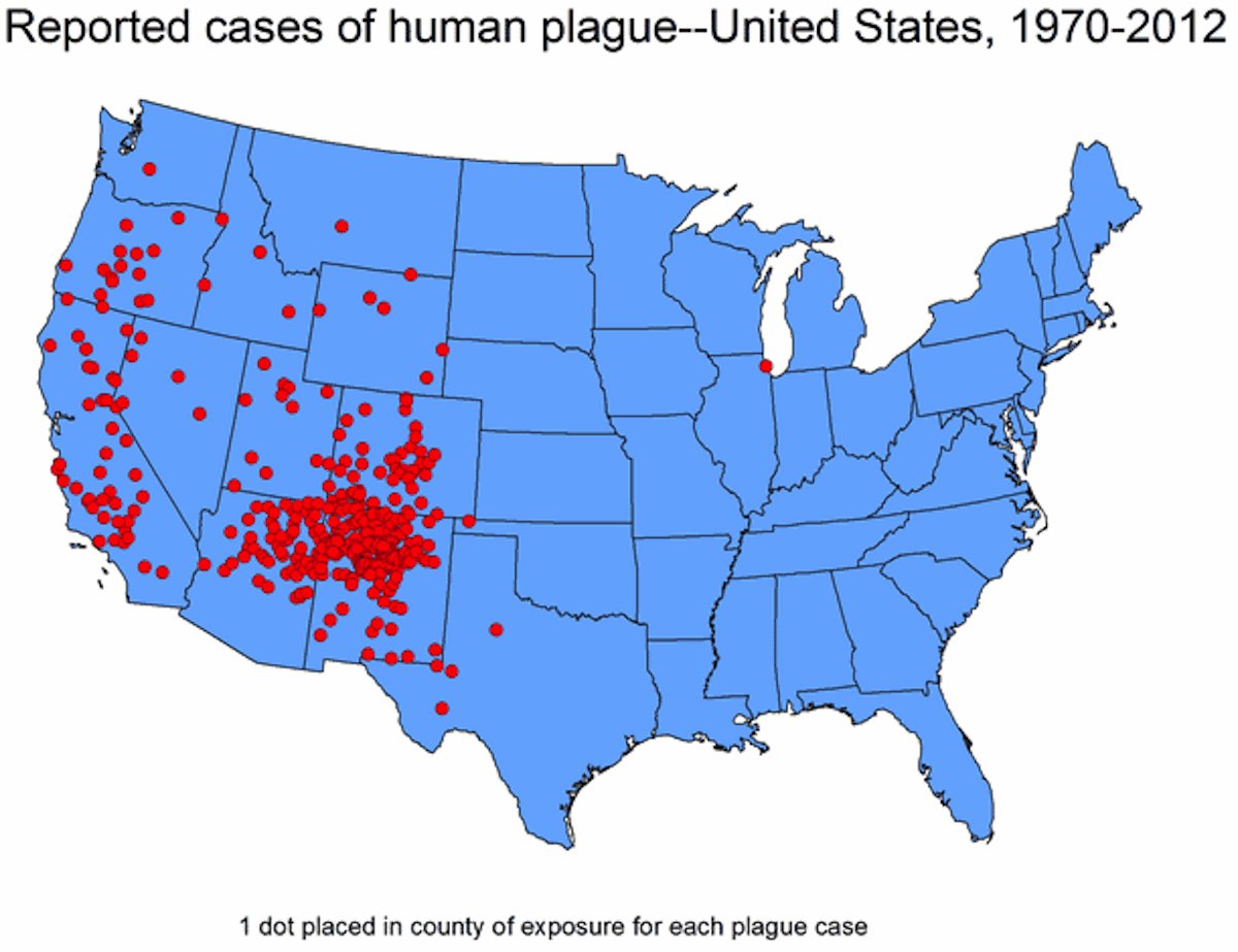 plague cases us map cdc