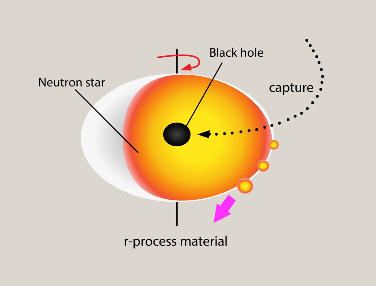 neutron star and primordial black hole