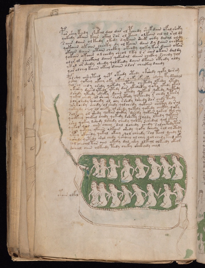 825 voynich manuscript 4