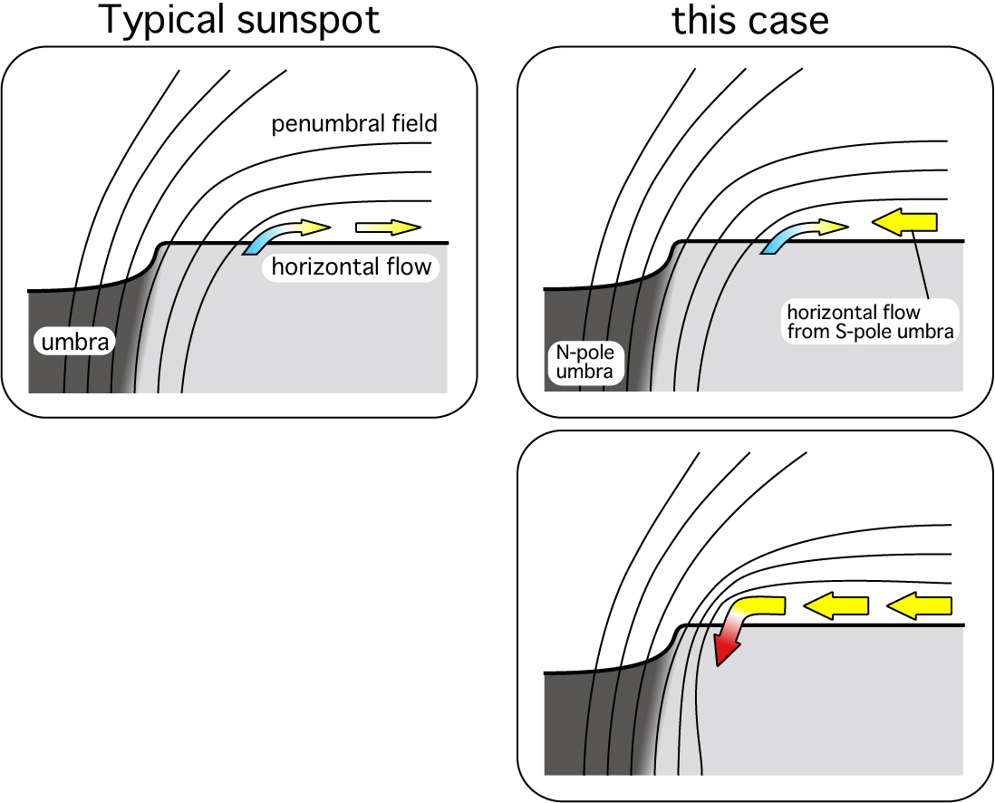 typical sunspot vs monster sunspot