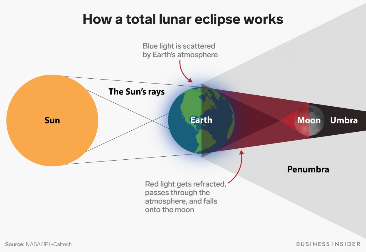 what lunar eclipse blood moon looks like
