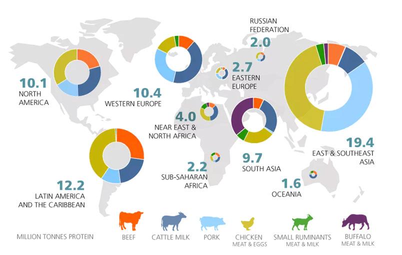Producción ganadera mundial por región (leche y huevos expresados ​​en términos de proteínas). FAO, CC BY-ND