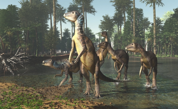 weewarrasaurus reconstruction