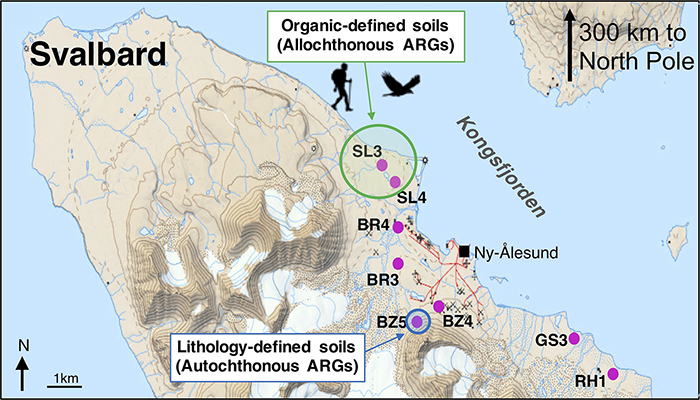 artic bugs 2