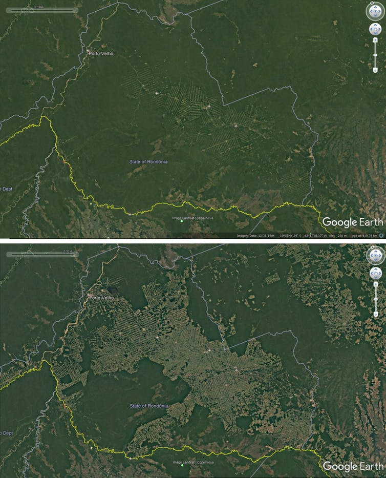 Deforestation around roads in Rondonia, Brazil, 1984-2016. (Google Earth)