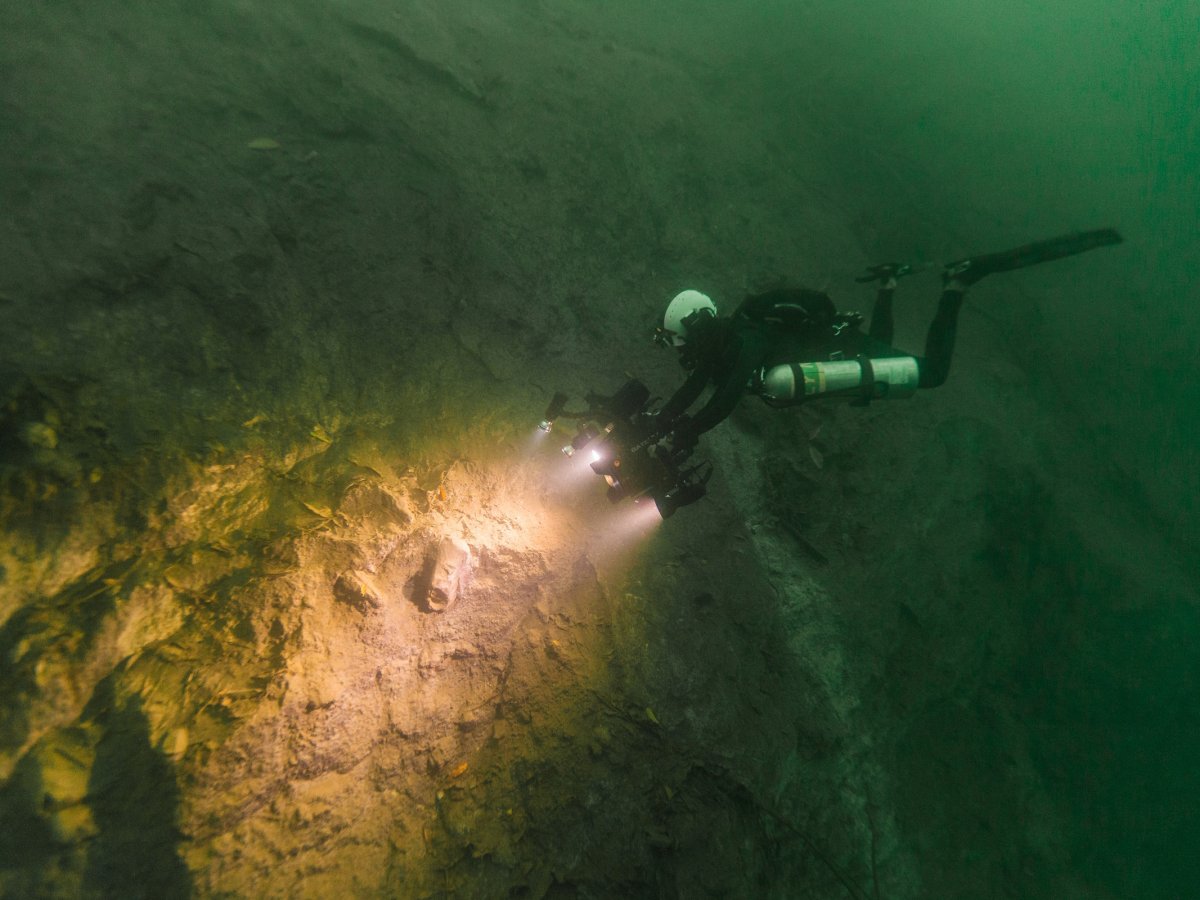 Diver Marty O'Farrell films fossils embedded in the sinkhole wall. (Tony Rath/Valley of Peace Archaeology)