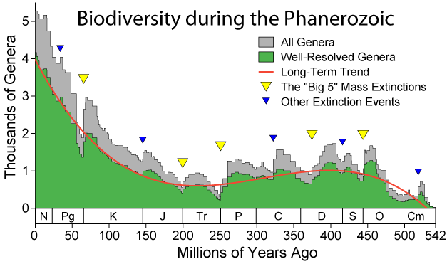 Changes in biodiversity during the Phanerozoic http enwikipediaorg wiki Phanerozoic