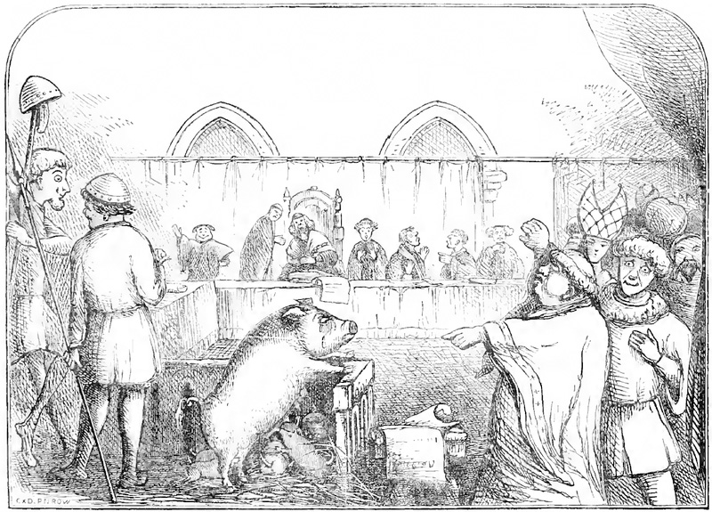 pig trial