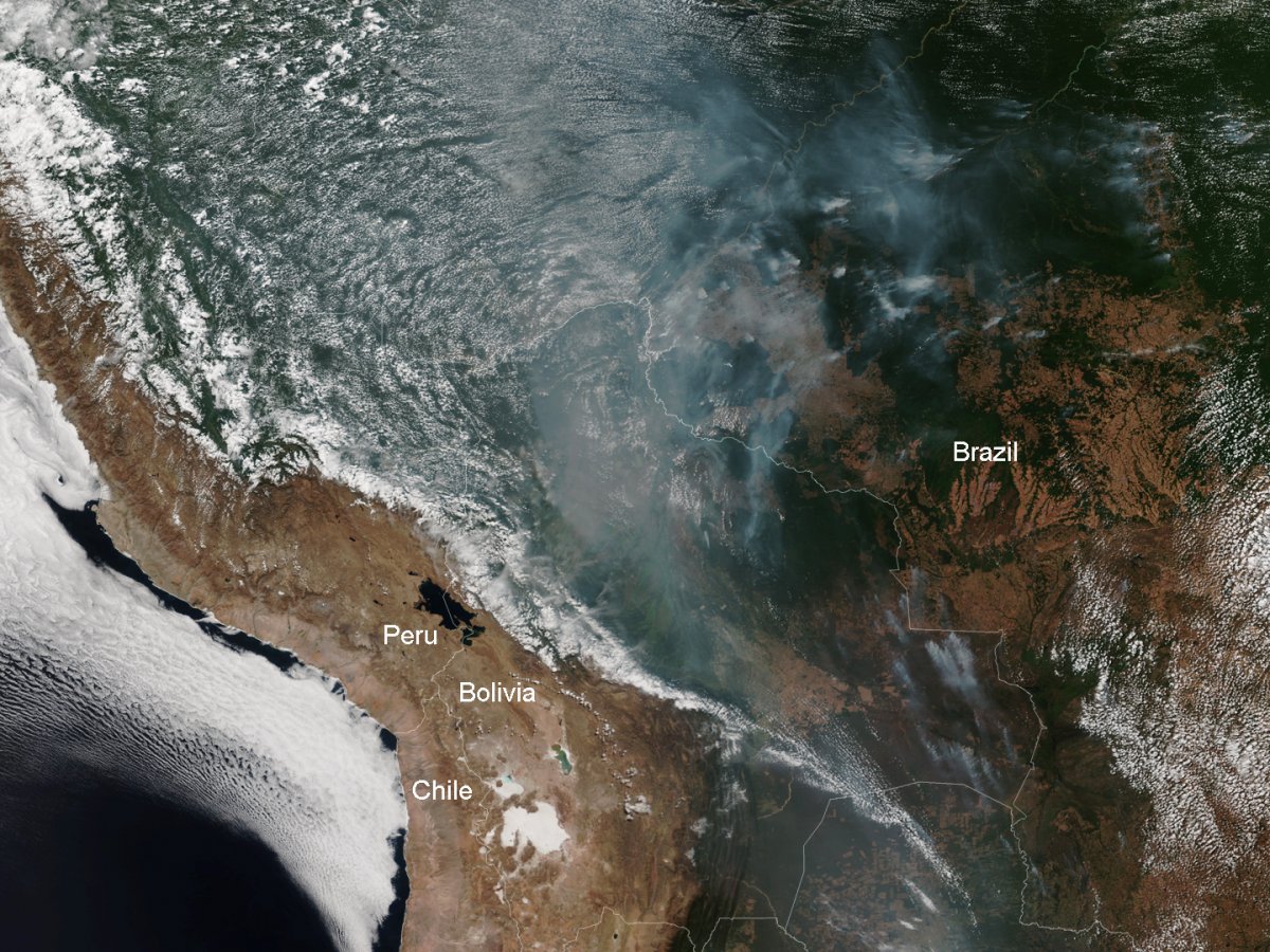 Satellite image of the burning rainforest on August 12. (NOAA)