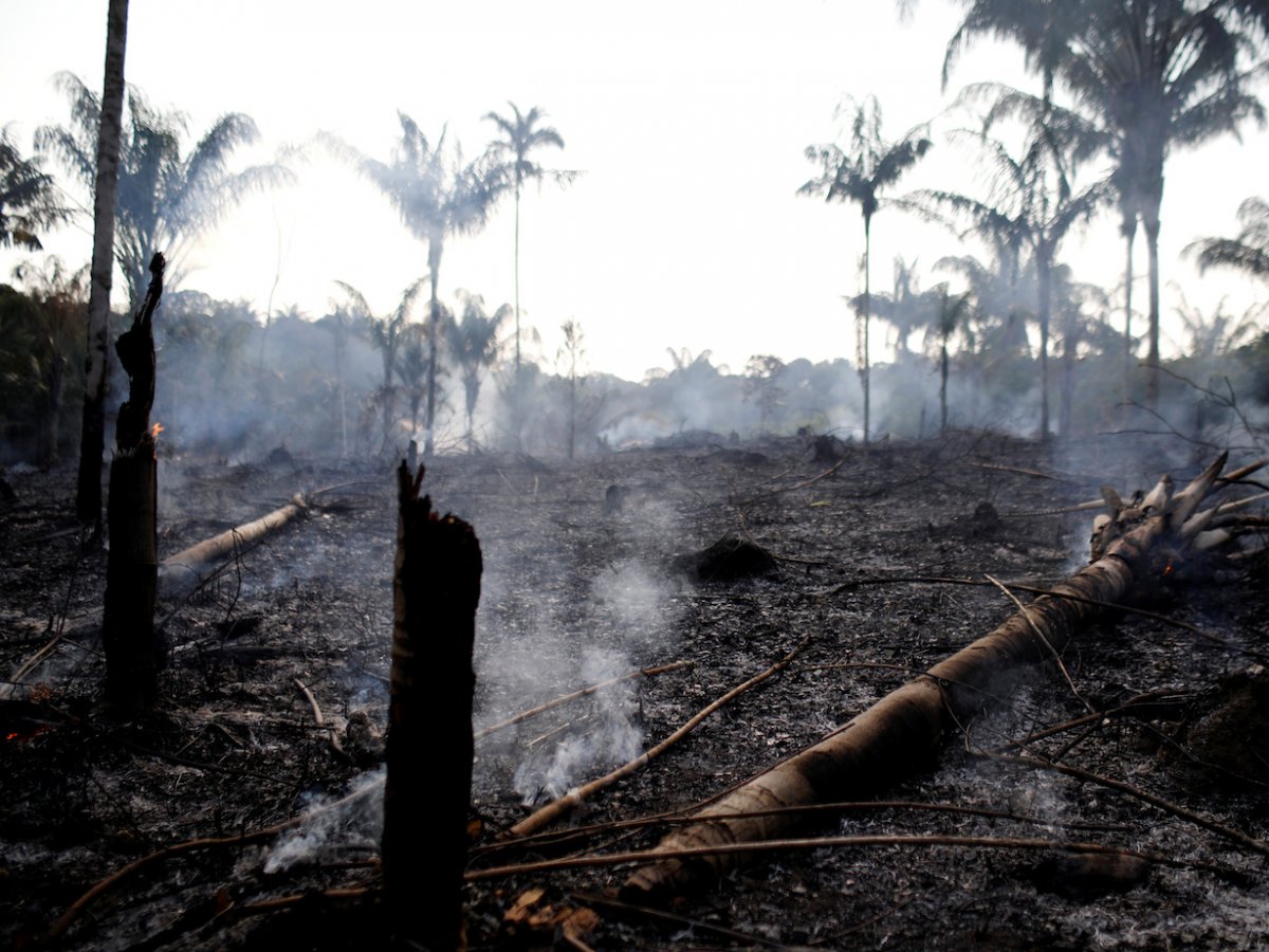 Part of the rainforest burned by loggers and farmers on August 20. (REUTERS/Bruno Kelly)