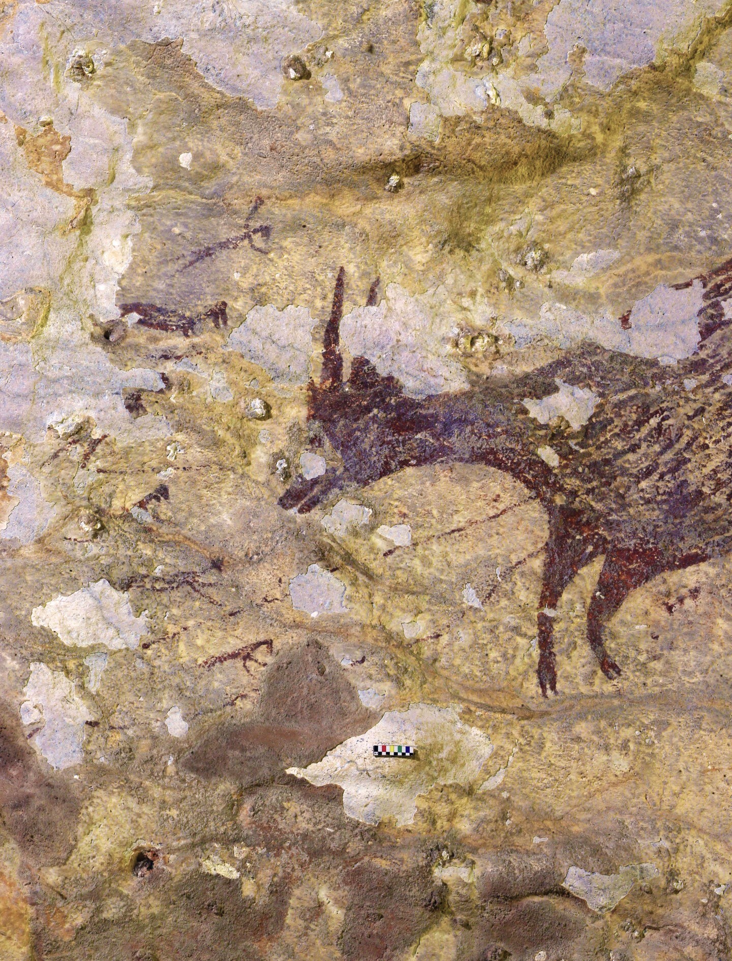 cow oldest story cave painting