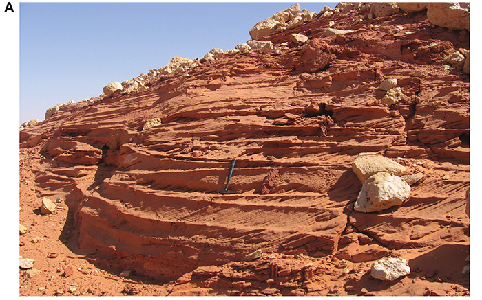 Tabular cross-bedding in the Gara Sbaa Formation