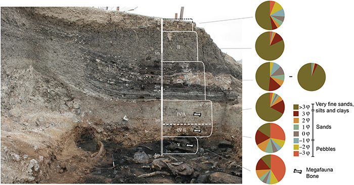 sediment layers with bones sloth tar pit