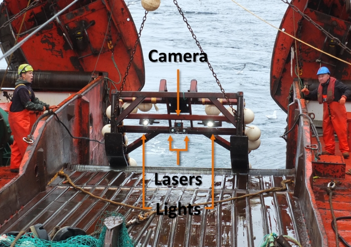 Deep sea camera rig