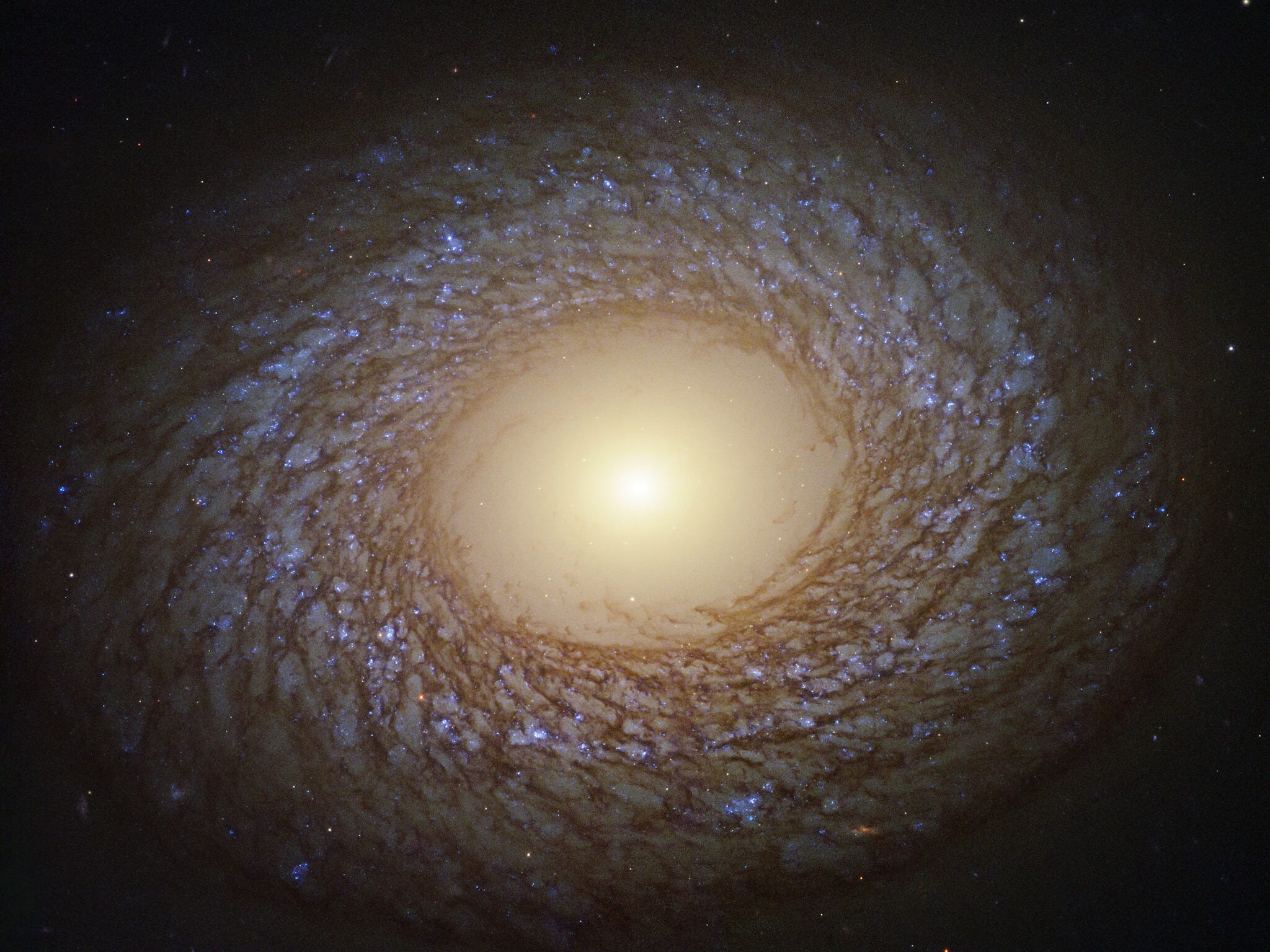 NGC 2275, 2 July 2020. (ESA/NASA/Hubble/J. Lee/PHANGS-HST Team/Judy Schmidt/Geckzilla)