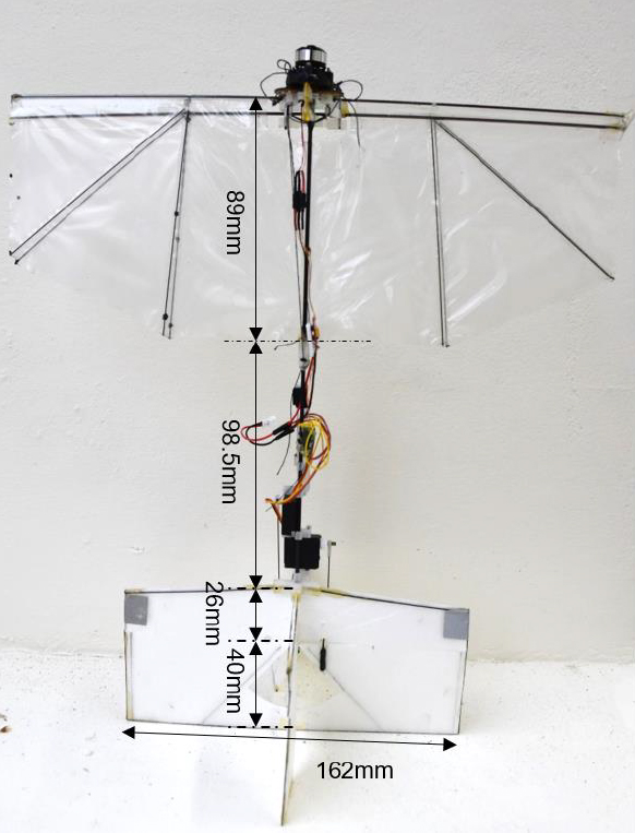 The design of the ornithopter. (Chin et al, Science Robotics)