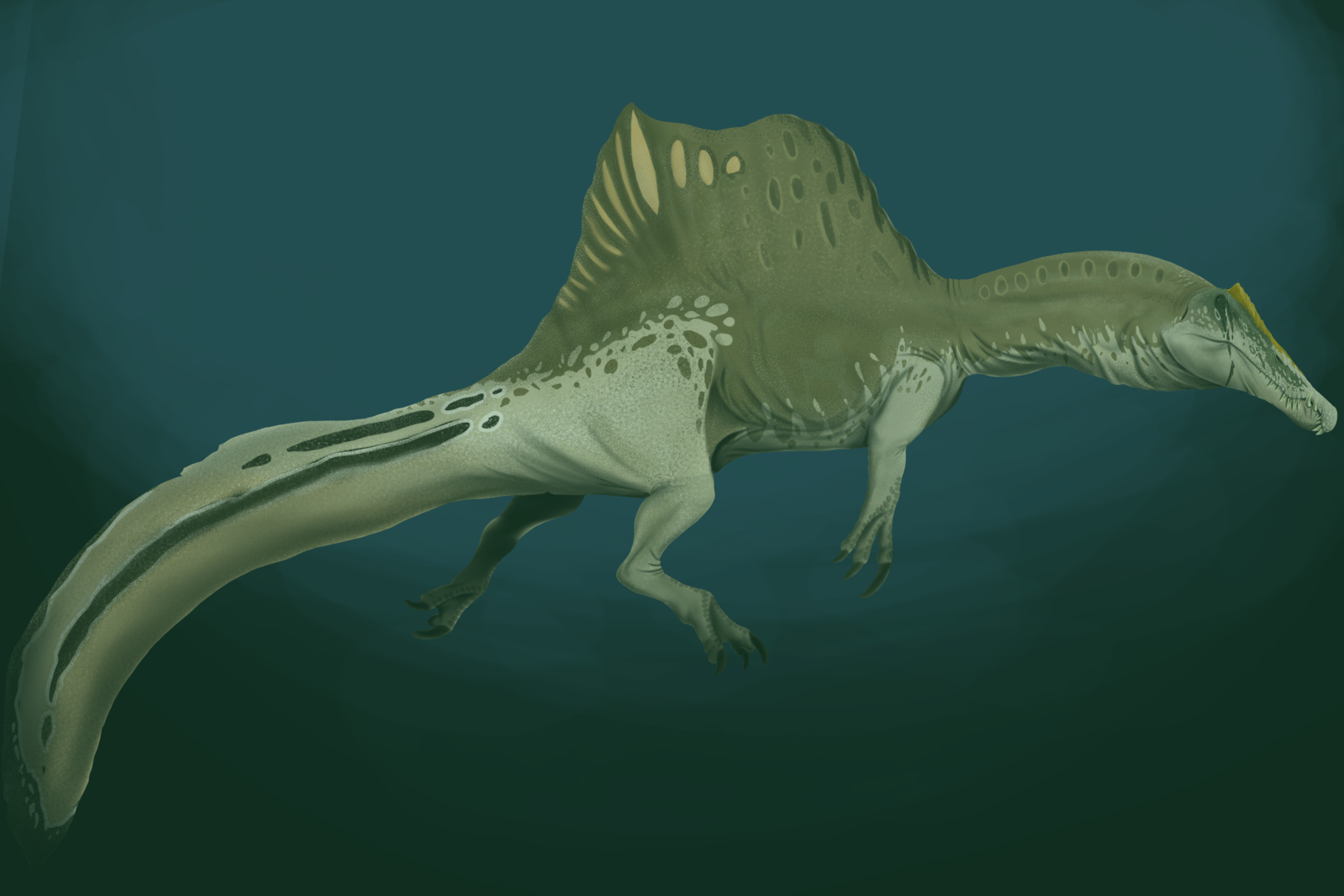 1599px Spinosaurus aegyptiacus underwater