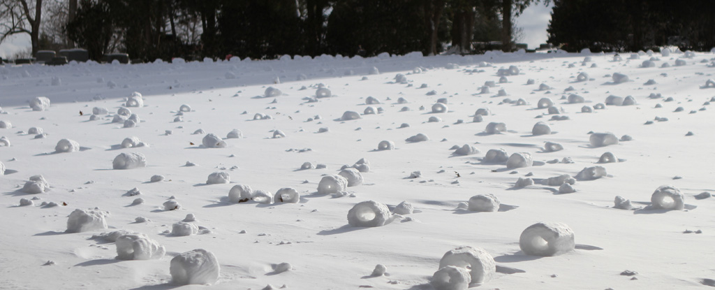 A field of snow rollers, or snow doughnuts