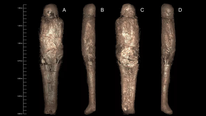 four views of the #D image of the mummy beneath the wrappings