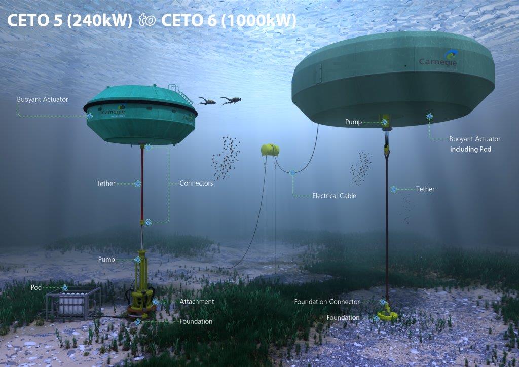 Diagram of the CETO 5 and the CETO 6 systems (Credit: Carnegie Wave Energy)