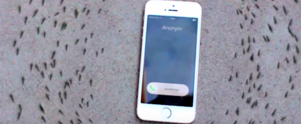 http://www.sciencealert.com/watch-strange-footage-shows-ants-circling-an-iphone-when-it-rings