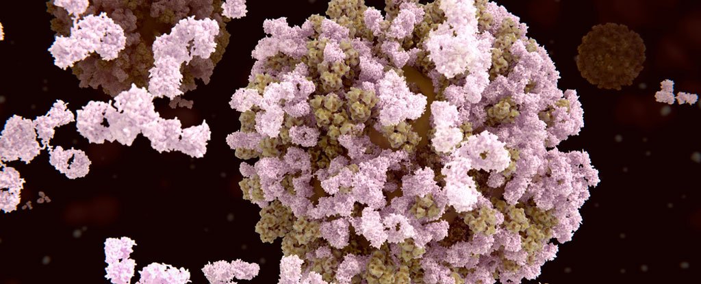 Scientists have discovered a brand-new aspect of our immune system