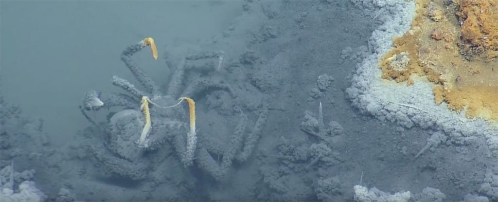 Scientists have found a lake under the sea - those who swim there won't come back alive