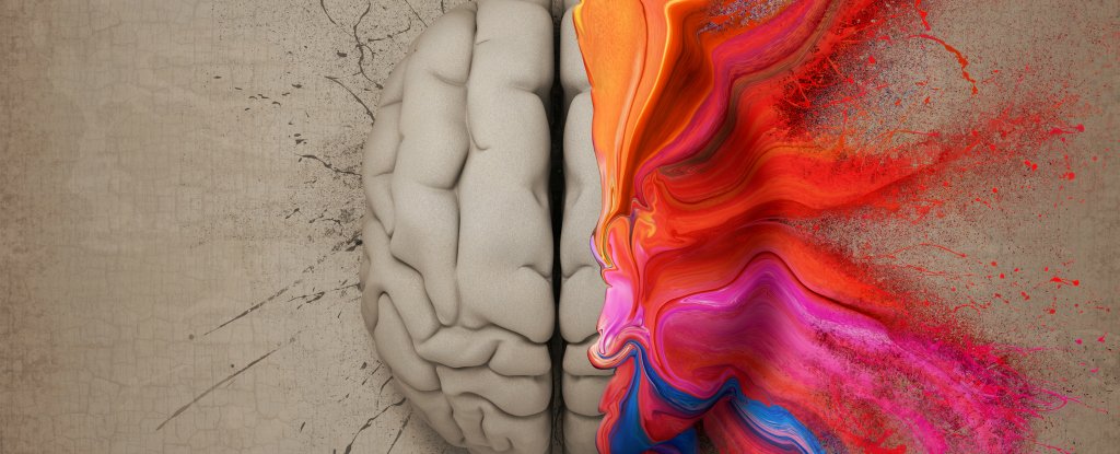 We Might Have Been Wrong About What Makes People Left- or Right-Handed