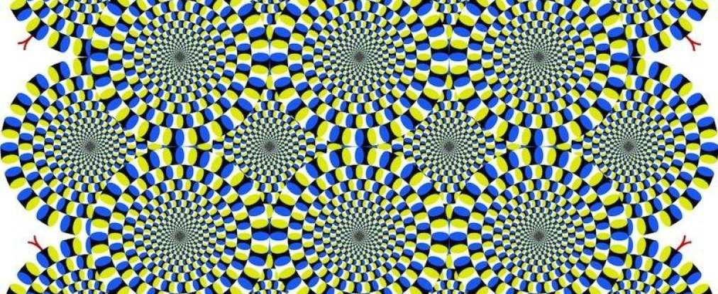 10 mind-melting optical illusions that will make you question reality
