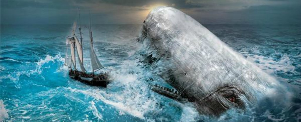 Science Says Moby Dick Might Have Been Able To Sink Ships 5 Times His Size 