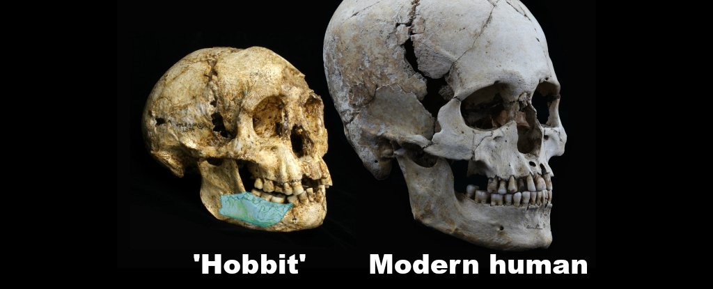 Skulls_web_1024.jpg