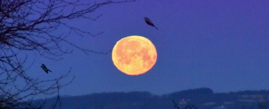 [Image: StrawberryMoon_web2_1024.jpg]