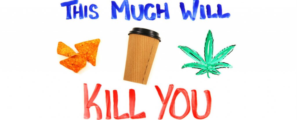 how much chocolate can kill a here s how much chocolate can kill you sciencealert how much chocolate can kill a here s how much chocolate can kill you sciencealert