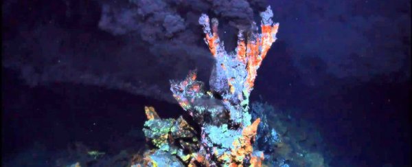 Scientist think they’ve figured out the last common ancestor of all living things