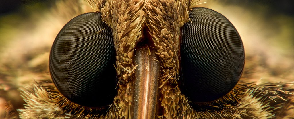 Finally read your phone in the sun thanks to the power of