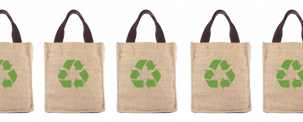 Eco-friendly shopping bags make us buy more junk food, study finds ...