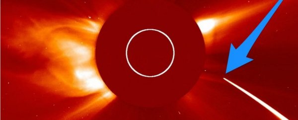 Watch the Sun absolutely destroy the fastest object in the Solar System 