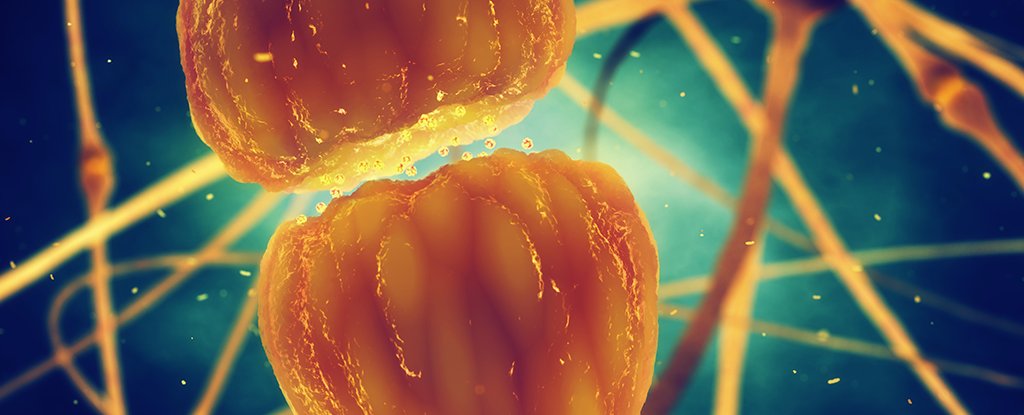 Scientists Have Figured Out How Our Brains Sharpen Our Memories While We Sleep
