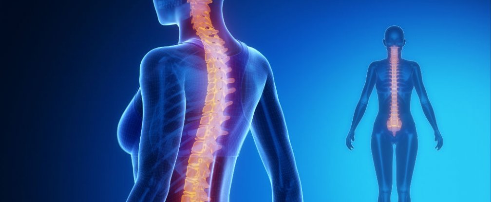 spinal-cord_1024.jpg