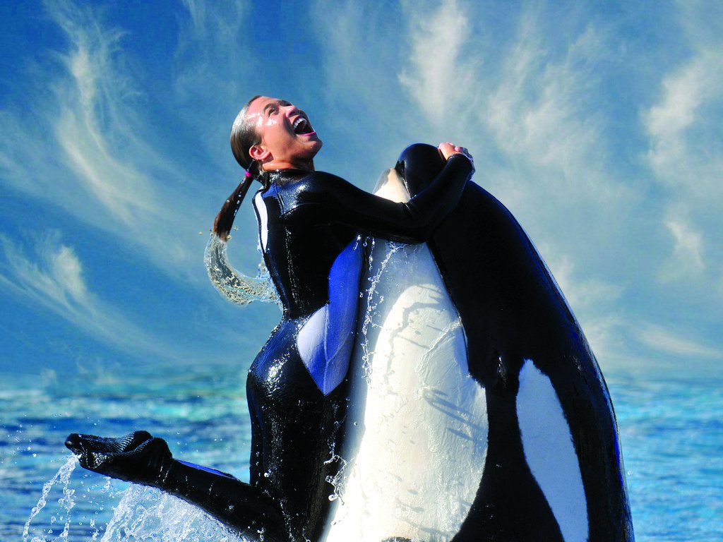 but-that-wasnt-enough-for-the-state-of-california-which-imposed-a-ban-on-breeding-orcas-at-seaworlds-san-diego-park-sea-world-challenged-that-ban-but-later-announced-it-would-close-its-orca-show-in-san-diego-by-2017