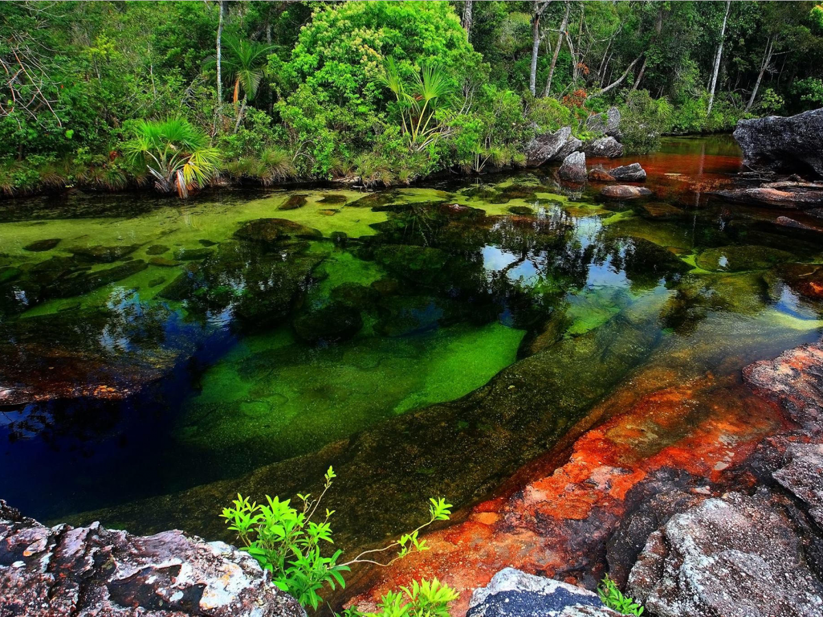 colombias-cao-cristales-is-covered-in-an-aquatic-plant-that-takes-on-hues-of-red-blue-yellow-orange-and-green-under-different-weather-conditions-most-of-the-year-it-looks-like-any-other-river-but-from-june-to-december-it-is-said-to-look-lik