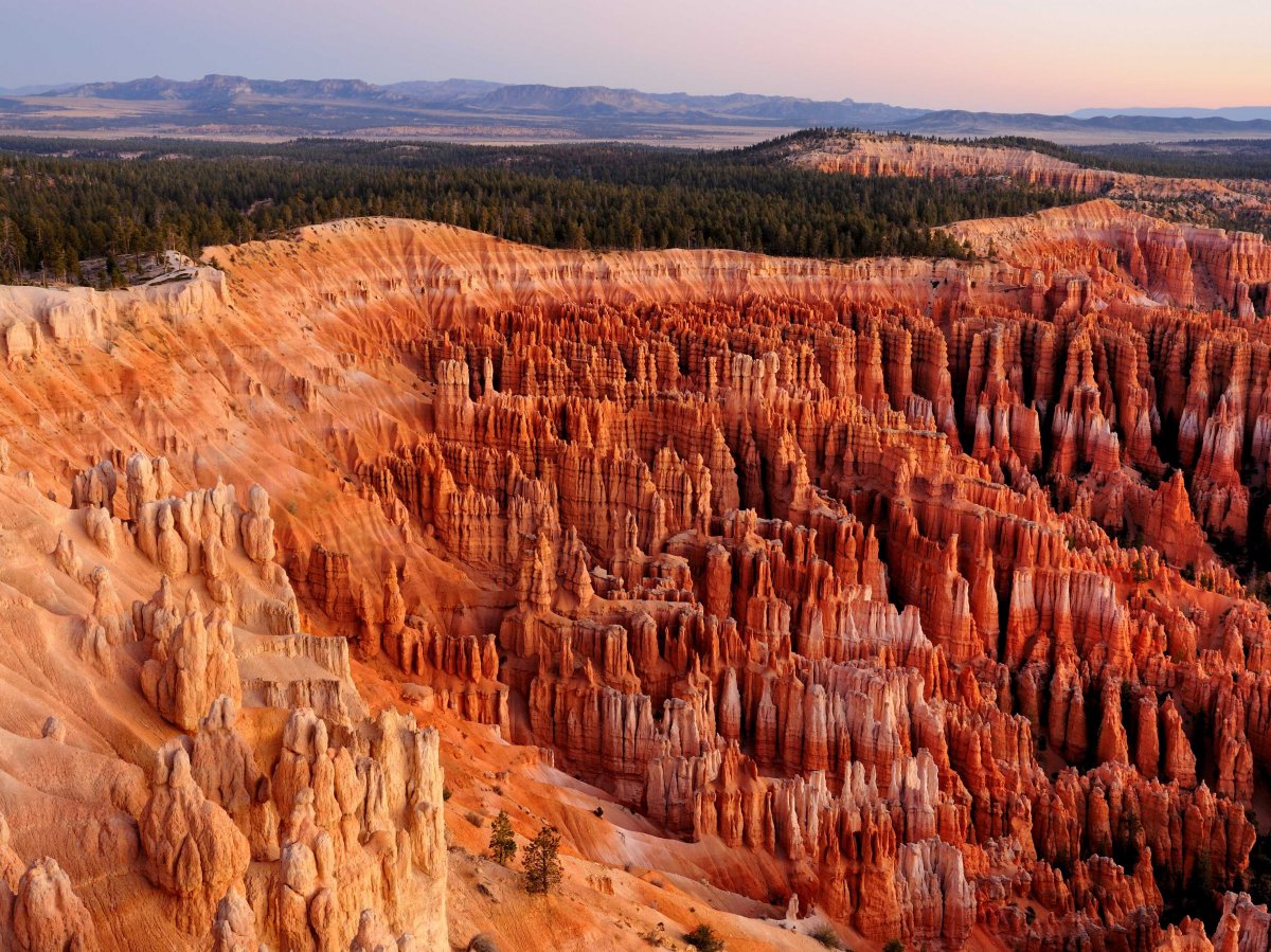 located-in-utah-bryce-canyon-national-park-is-home-to-brightly-colored-geological-structures-which-are-formed-from-erosion-and-called-hoodoos-the-park-hosts-the-largest-collection-of-hoodoos-in-the-world