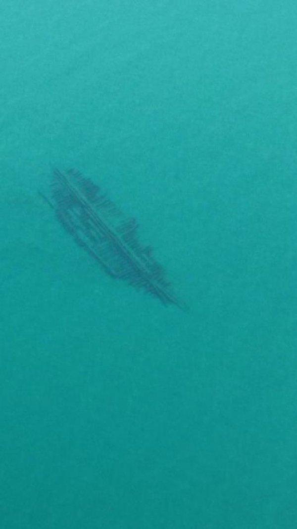 Shipwrecks of Lake Michigan revealed by unusually clear 