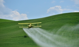 CarolinaSmith_-_biplane_crop_duster