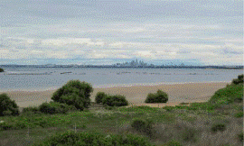 P._Macreadie_-_Botany_Bay