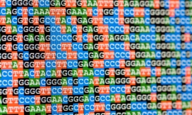 alanphillips_-_DNA_sequences