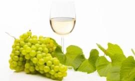 aluxum_-_grapes